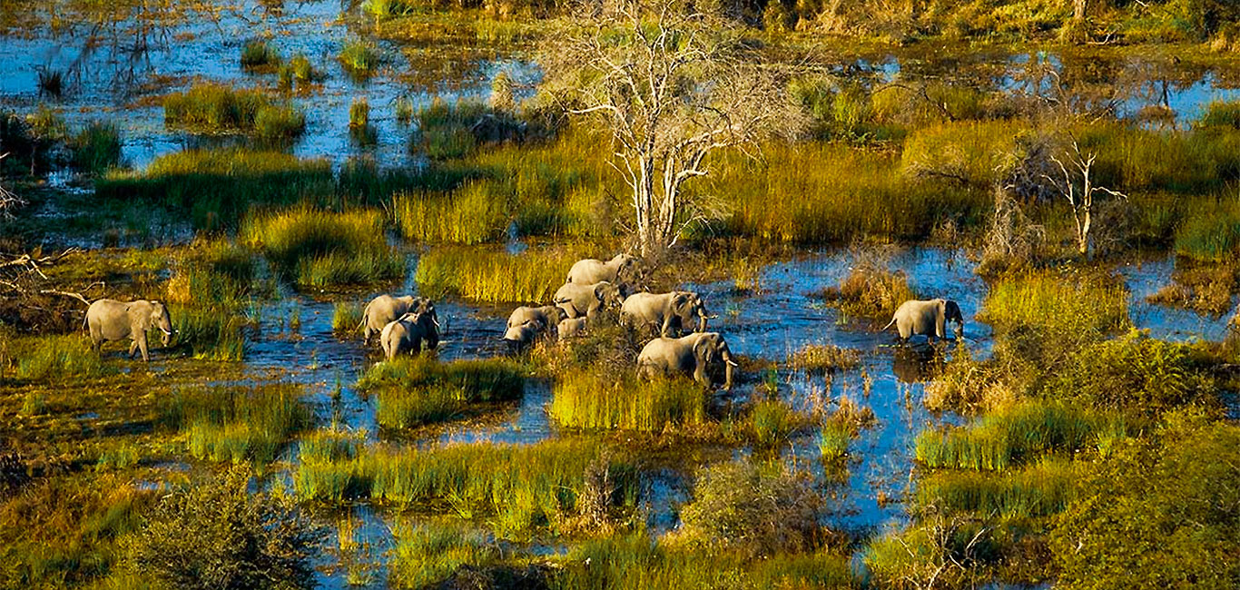 Reisebericht Uganda Ruanda Erfahrung