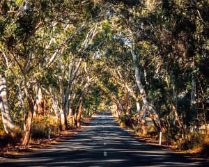 Australien Reisetipps Rundreise Urlaub planen
