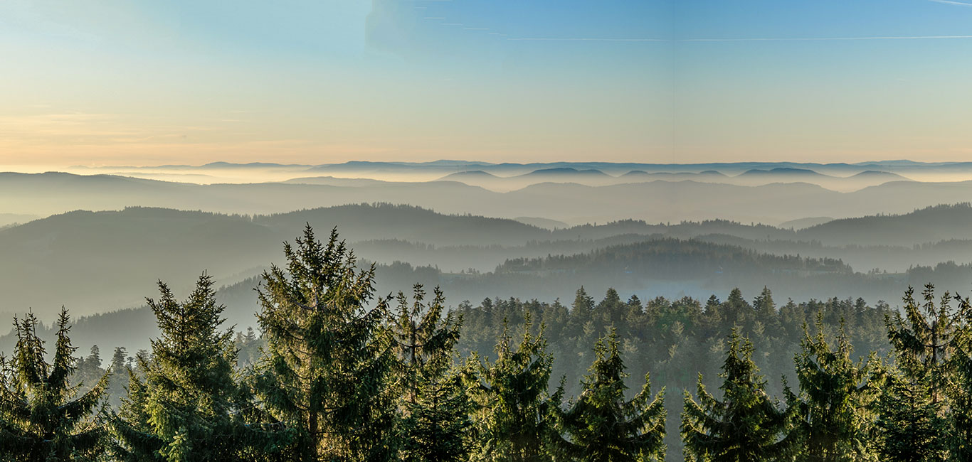 Schwarzwald die schönsten Orte und Highlights