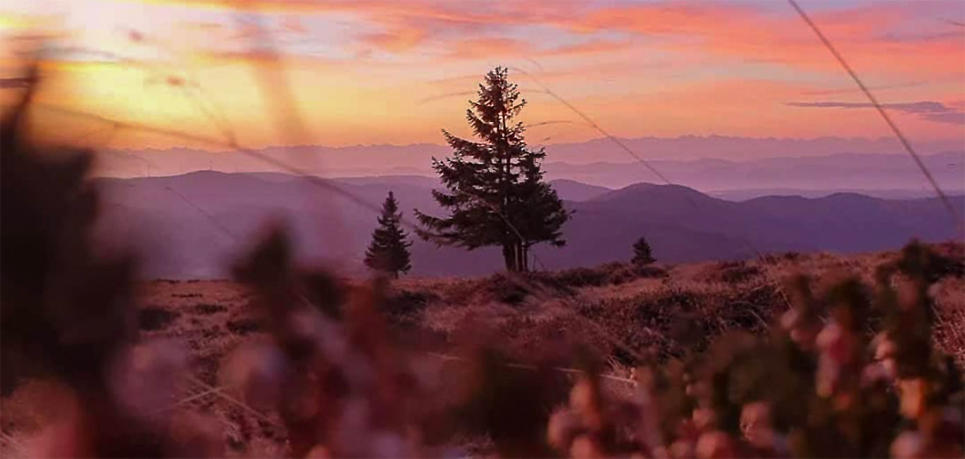 Schwarzwald Sonnenaufgang Belchen