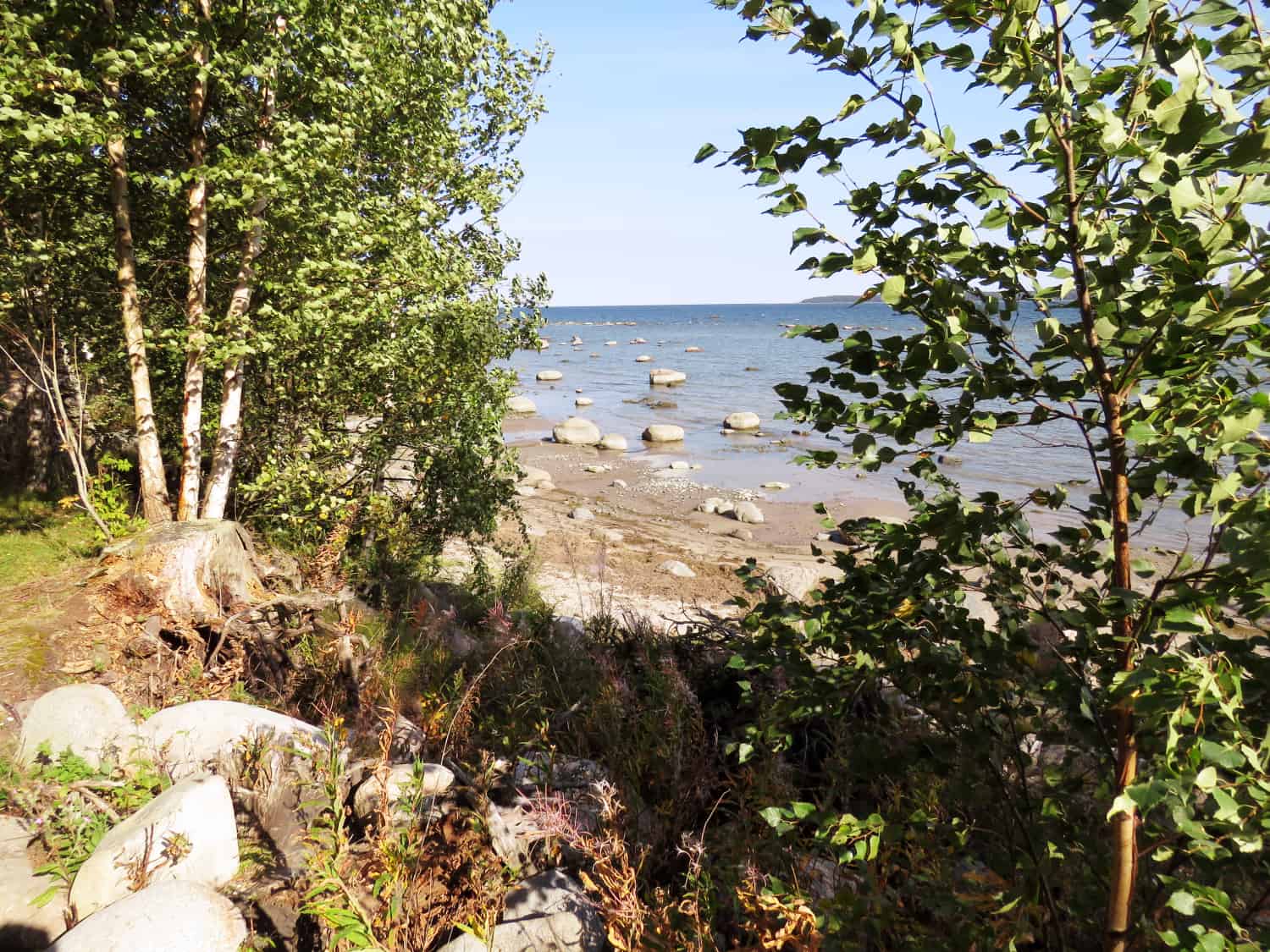 Wandern im Laheema Nationalpark in Estland Wandern im Laheema Nationalpark