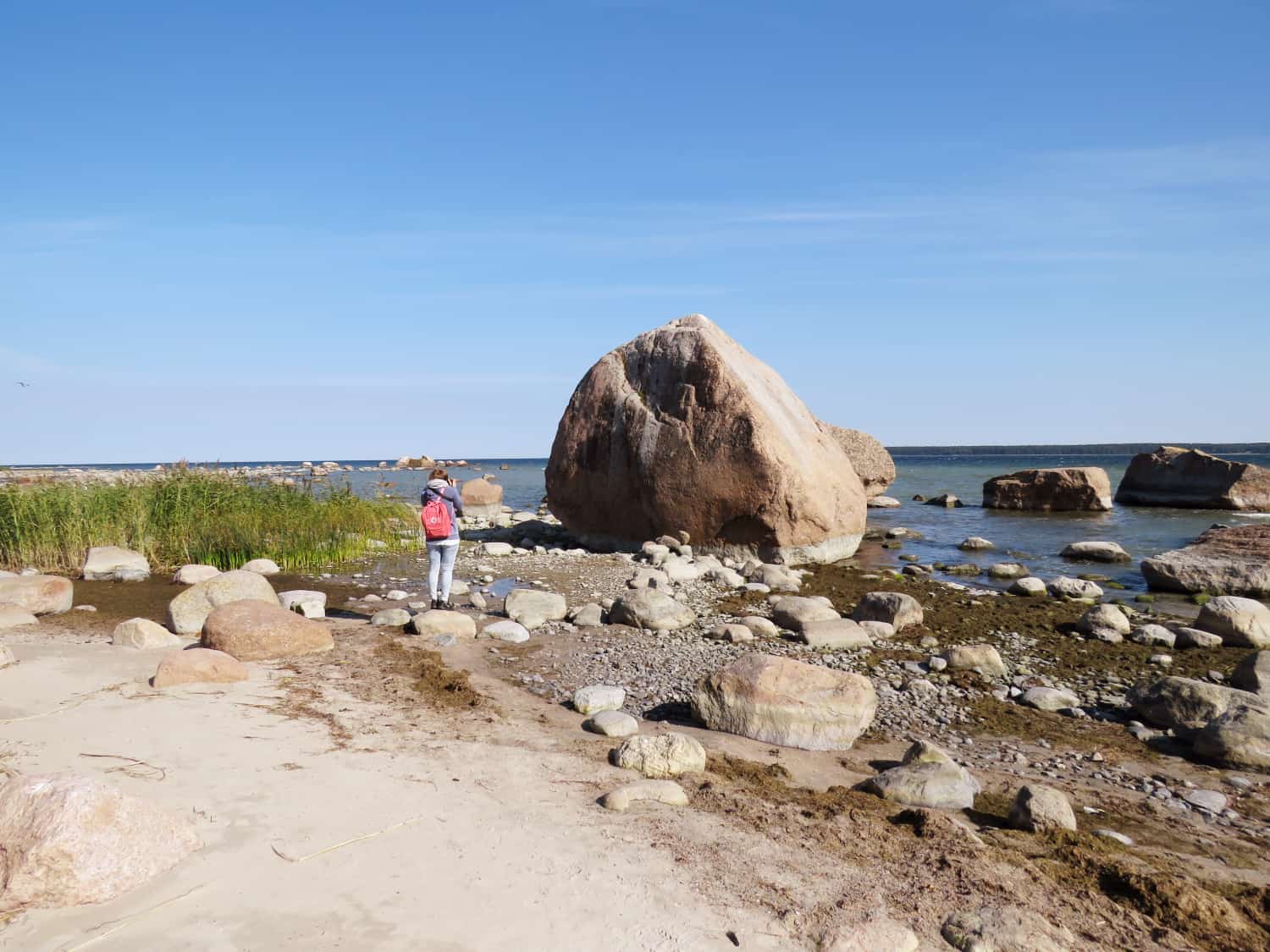 Findling im Laheema Nationalpark in Estland