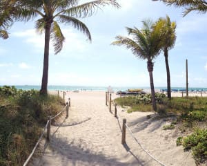 Florida Reiseberichte für Rundreisen