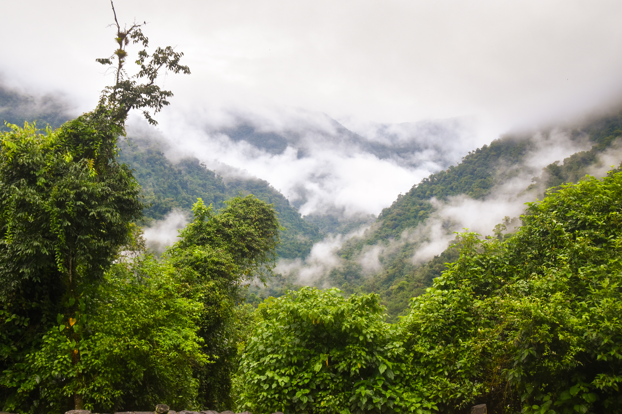 Aruba Blog: Reiseberichte mit Tipps & Erfahrungen