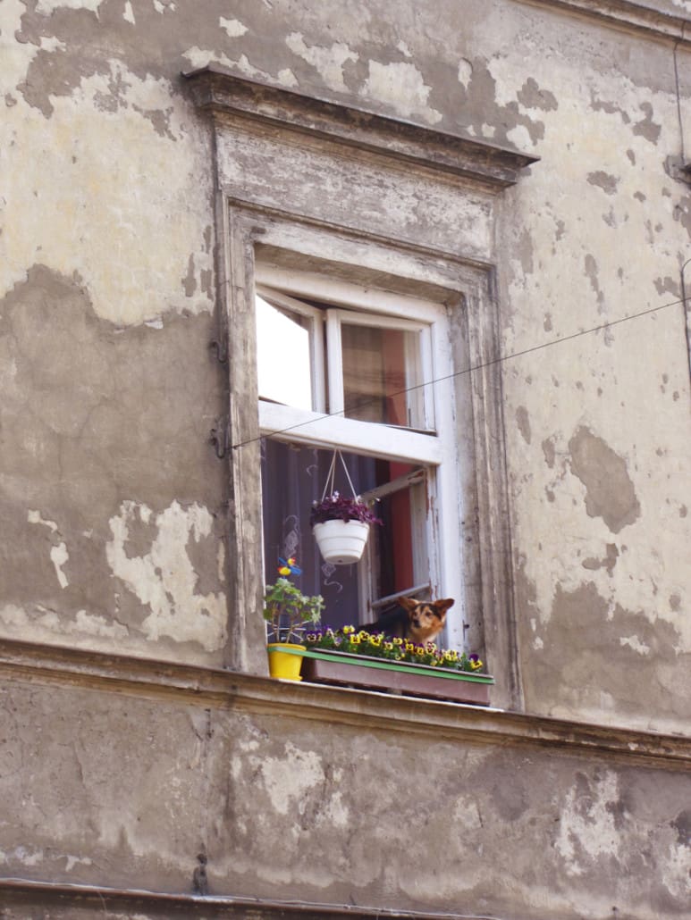 Sehenswürdigkeiten: Straßenbild von Kazimierz