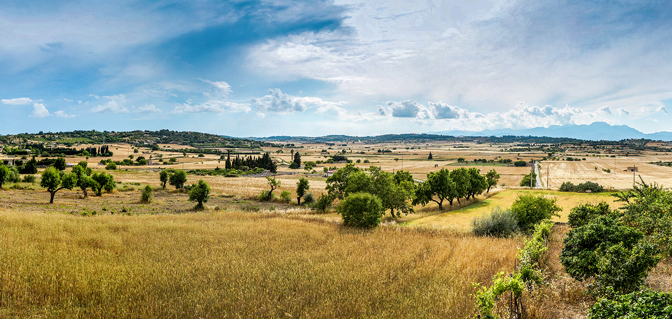 Radfahren auf Mallorca via Verde