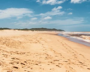 iSimangaliso Wetland Park & St. Lucia Südafrika