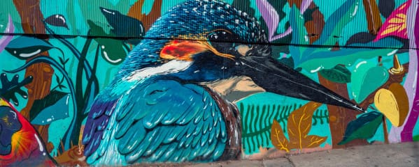 Valparaiso in Chile Street-Art, das Highlight