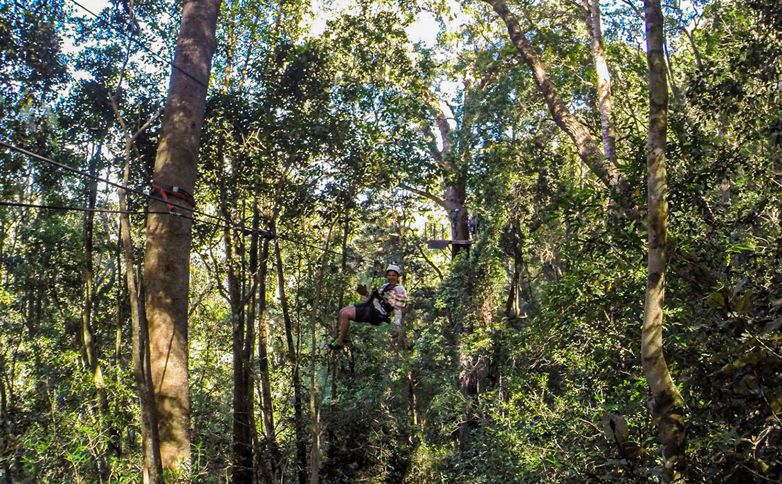 Canopy Zipline Tsitsikamma Garden Route Südafrika