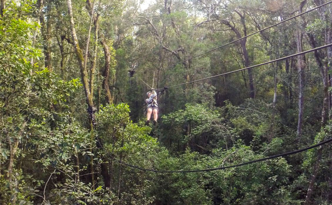 Zipline im Tsitsikamma Südafrika