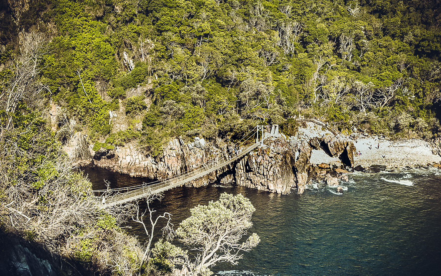 Stormsriver Mouth Bridge Tsitsikamma