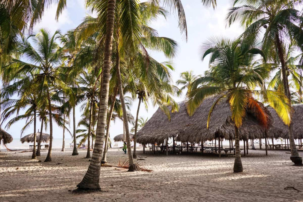 Ecolodge bei Palomino