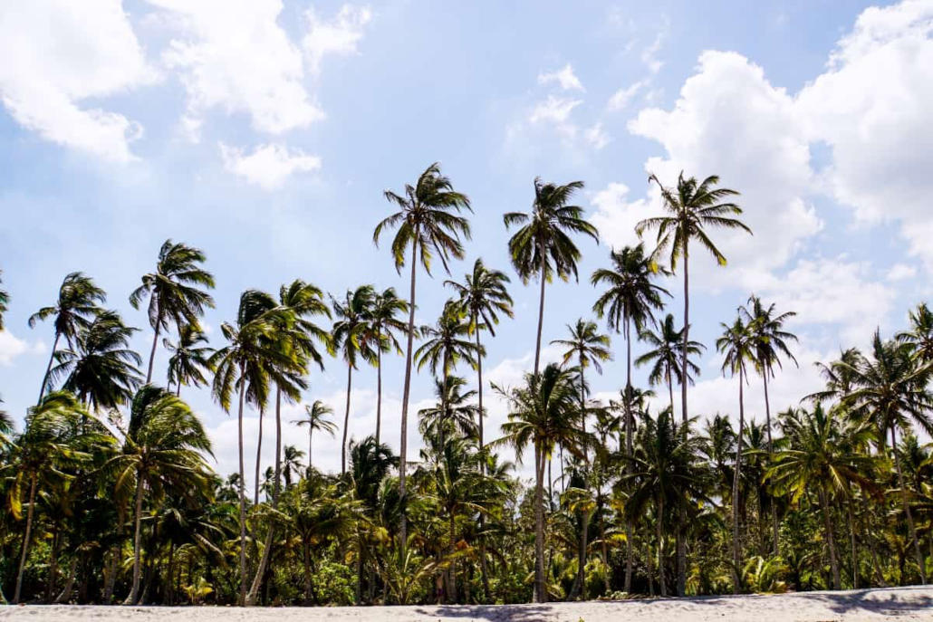 Strand in Karibikküste