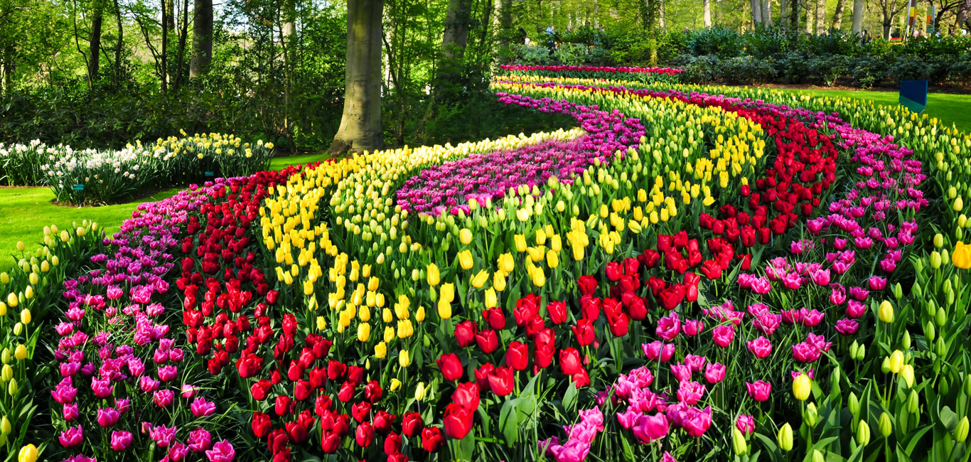Keukenhof Niederlande besuchen Tipps