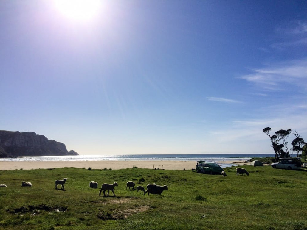 Idyllischer Campingplatz am Strand in Neuseeland