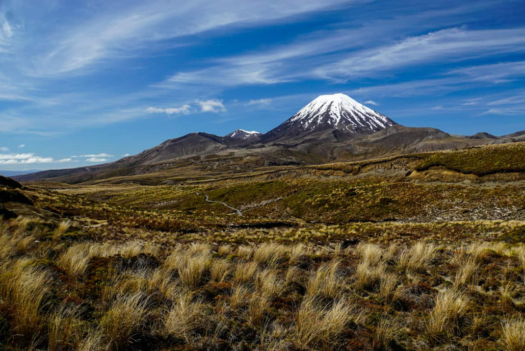 Tussock Gras vor Ruapehu mit Snow Peak