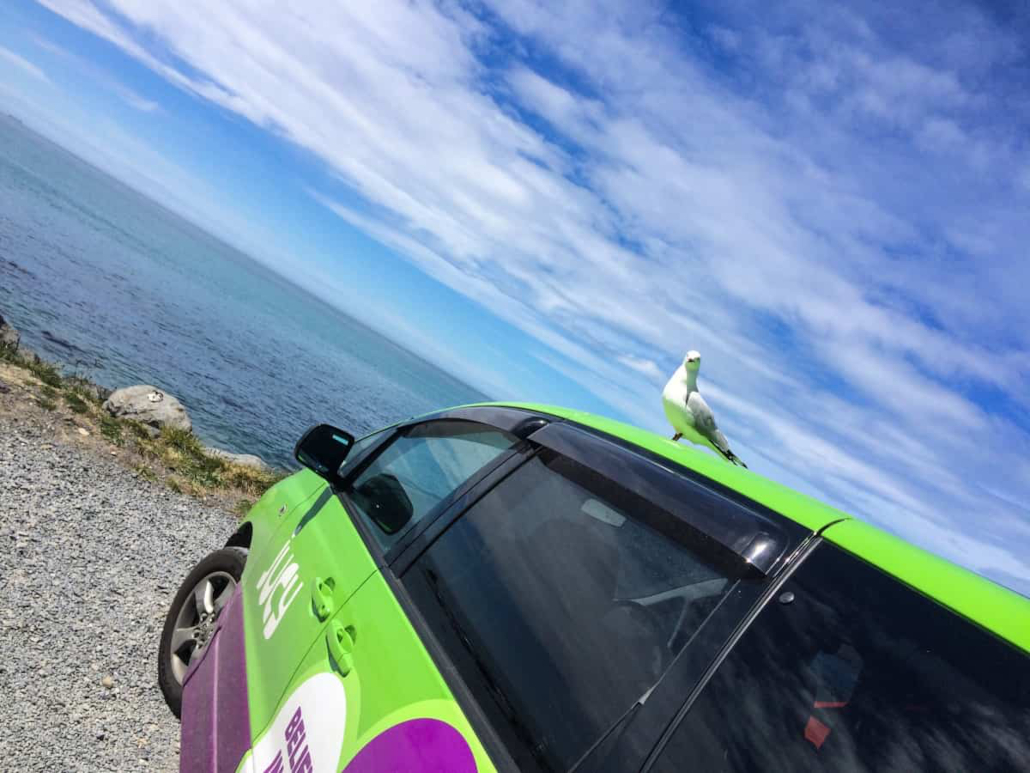 Campervan in Neuseeland