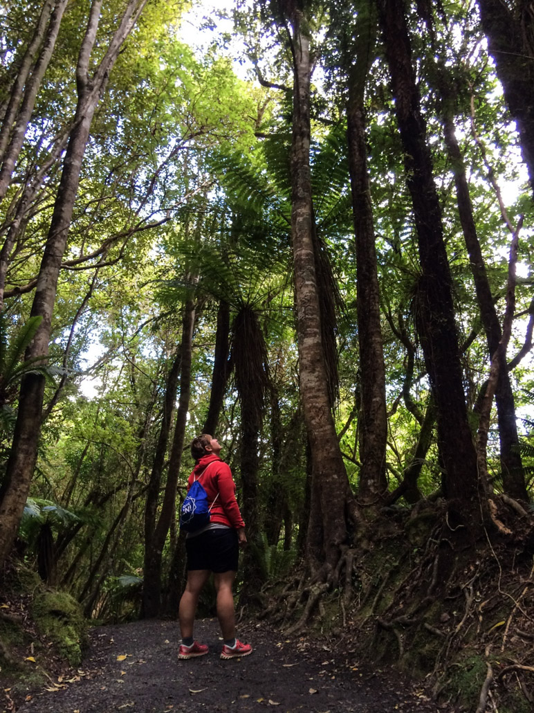 Wandern in den Catlins