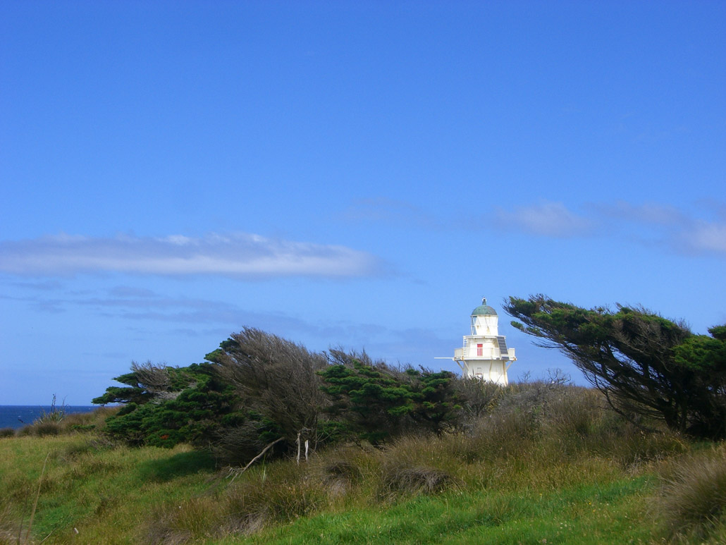 Waipapa Point in den Catlins