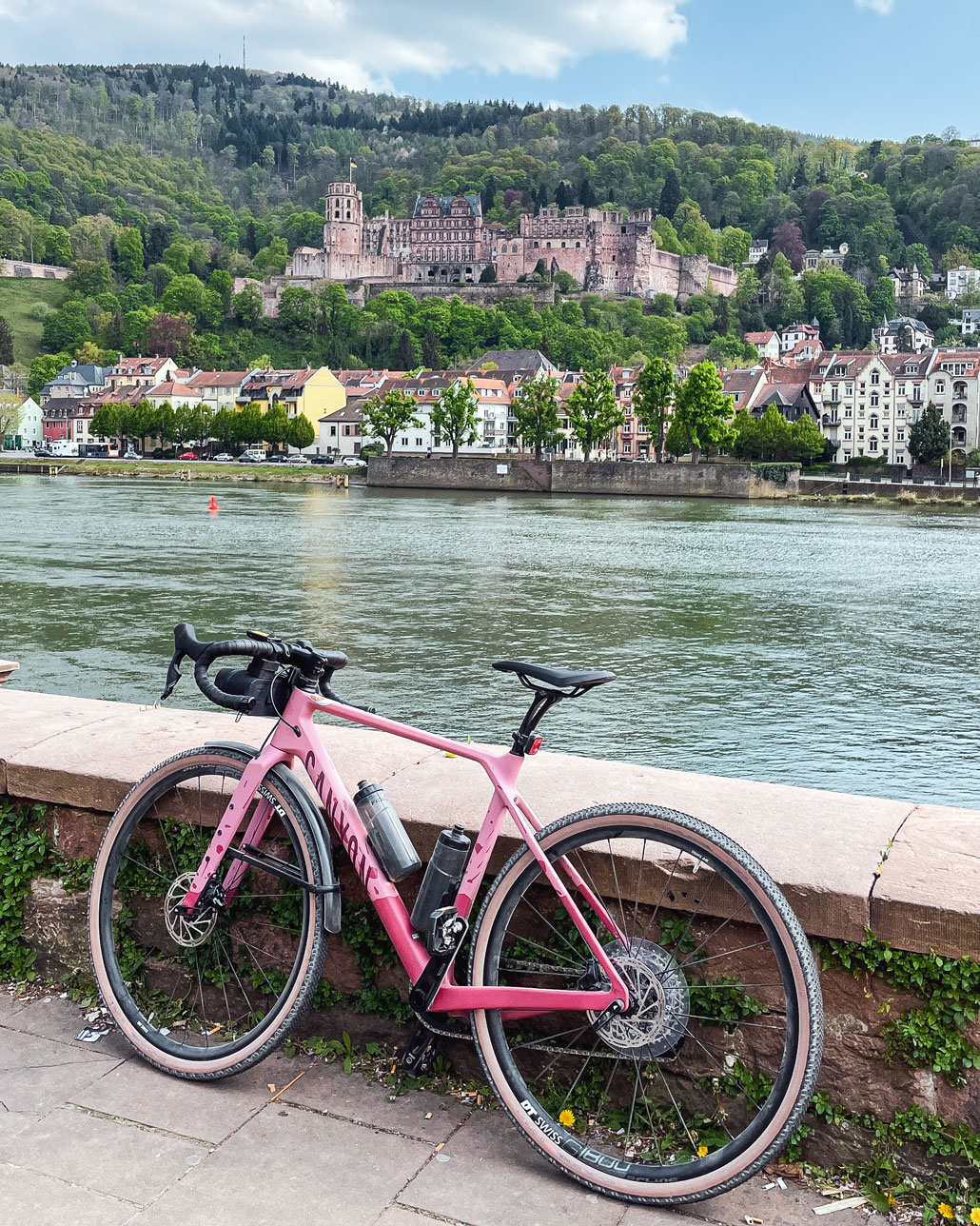 Neckartal Radweg Heidelberg Schloss