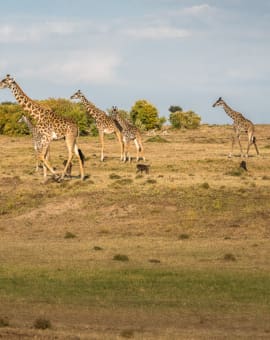 Kenia Reiseblog Reiseberichte