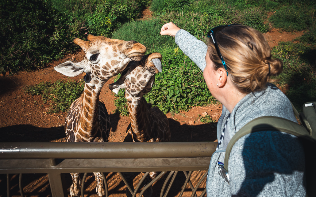Nairobi Kenia Sehenswürdigkeiten 1 Tag