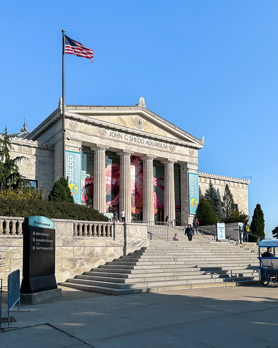 Shedd Aquarium Chicago, für uns kein Muss