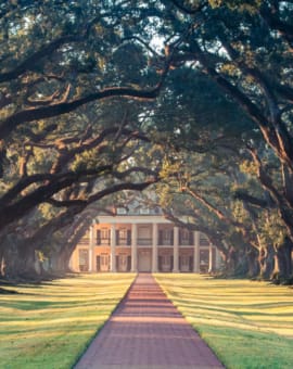 Louisiana Blog Oak Alley