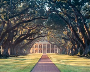 Louisiana Blog Oak Alley