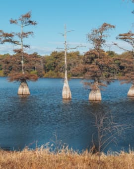 Mississippi Delta Reiseblog