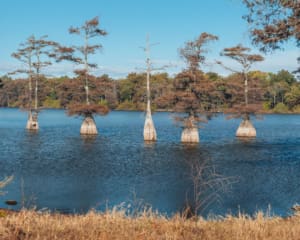 Mississippi Delta Reiseblog