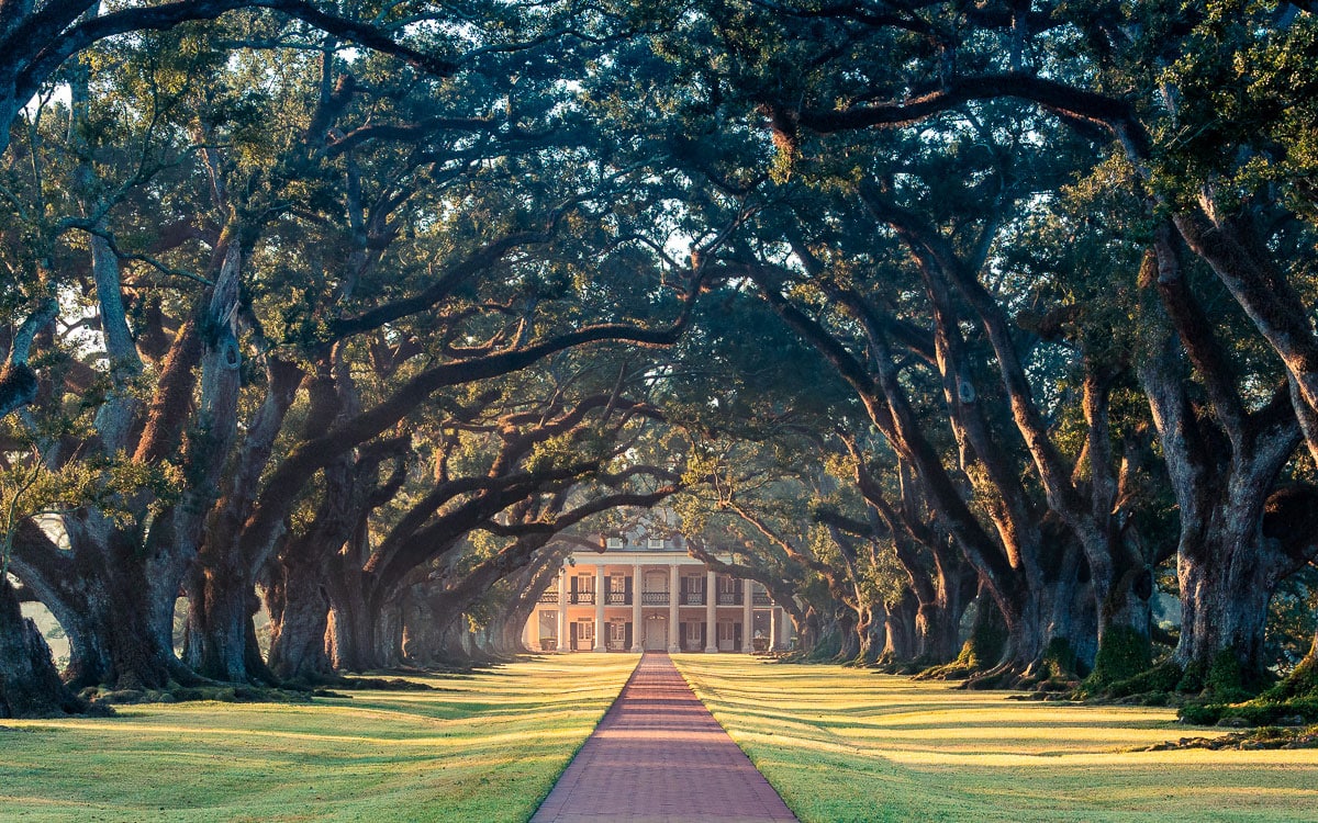 Oak Alley Plantage Eichenallee