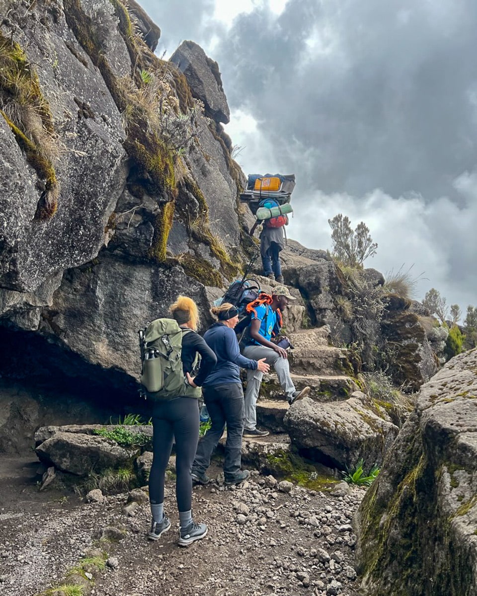 Machame Route Tag 2: Es geht immer berauf