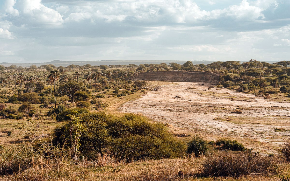 Das Flussbett des Tarangire River ist auch Mitte Dezember fast komplett ausgetrocknet