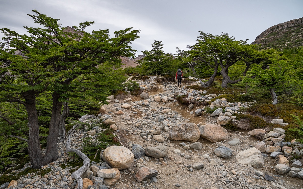 Der Anstieg beginnt. Wanderung Laguna de los Tres
