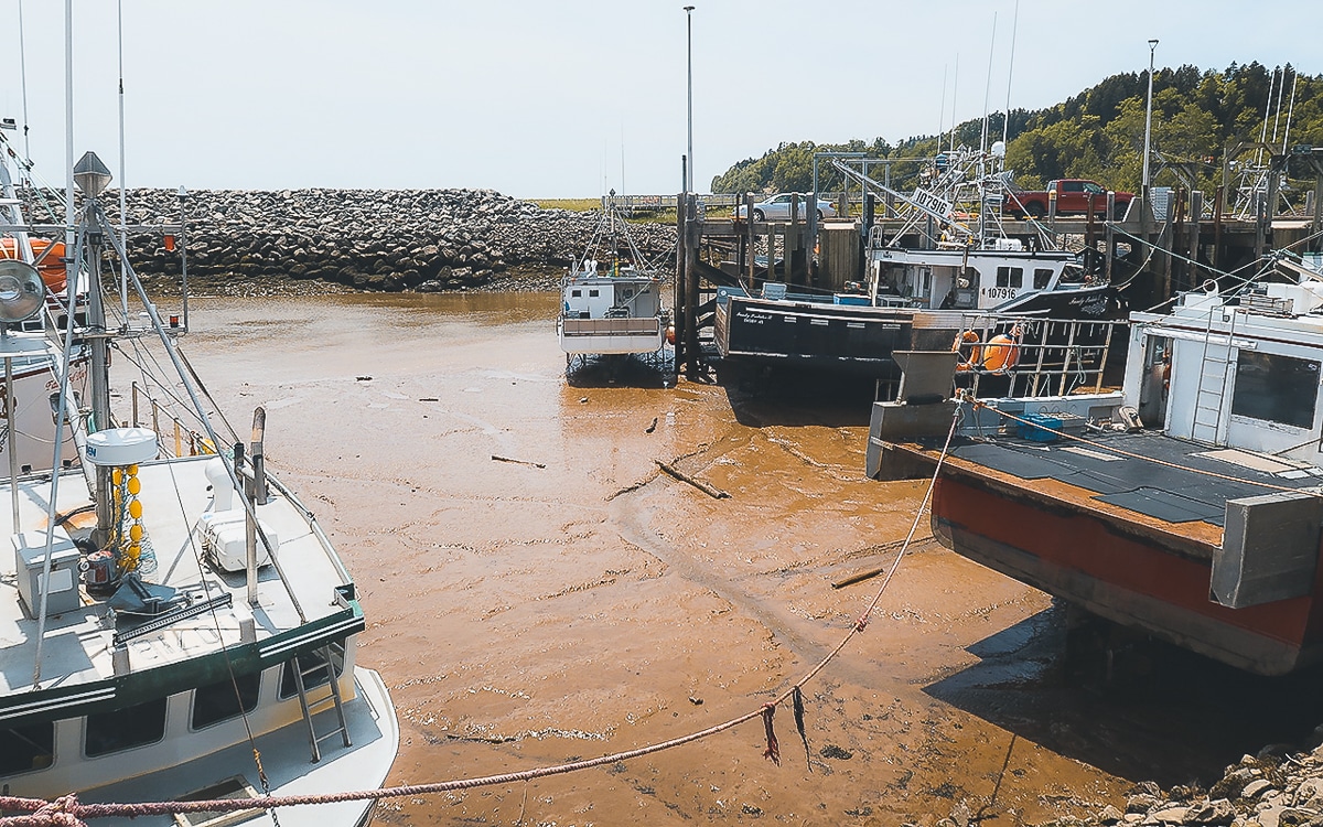 Boote im Hafen bei Ebbe, Bay of Fundy- New Brunswick, Kanada