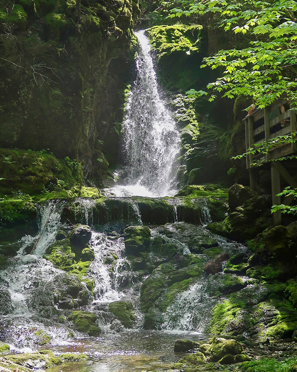 Dickson Falls im Fundy Nationalpark. New Brunswick in Kanada.