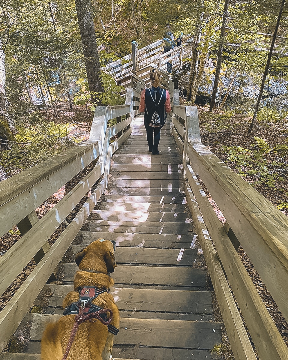 Wanderung im Fundy Nationalpark. New Brunswick in Kanada