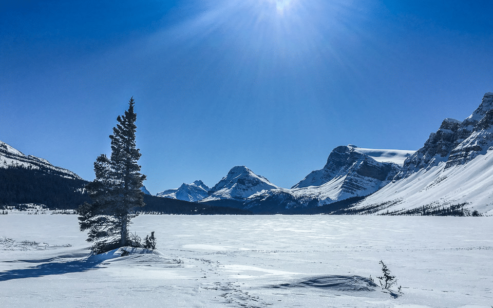 Gefrorener Bow Lake am Icefields Parkway (Kanada)