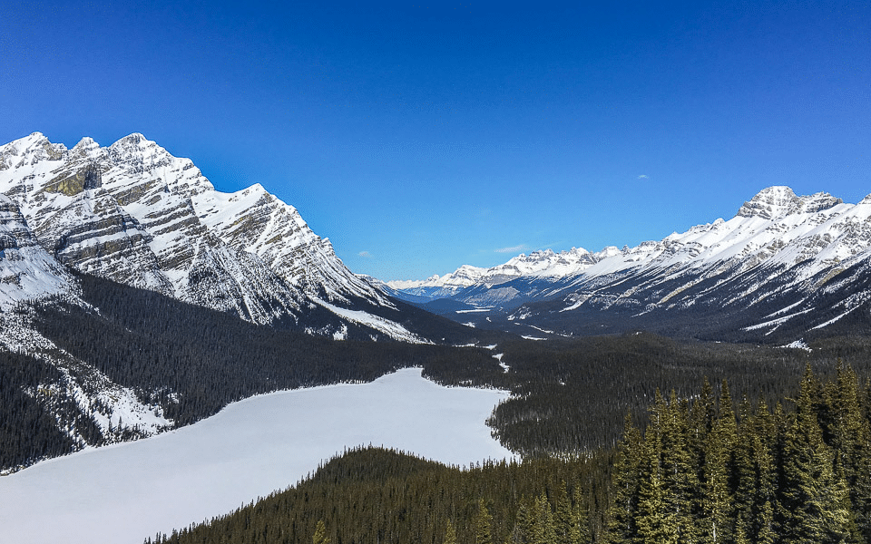 Aussichtspunkt am Peyto Lake Icefields Parkway im Winter