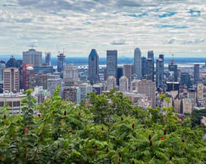 Montreal Kanada Sehenswürdigkeiten