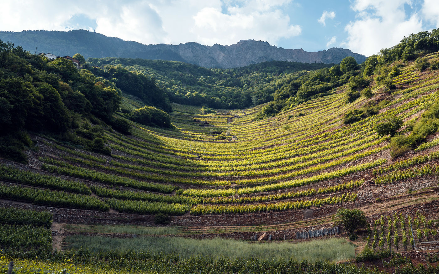 Weinberg Combe d'Enfer