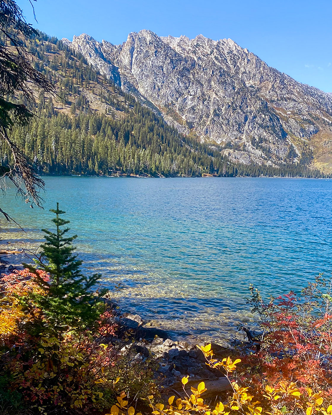 Wandern am Jenny Lake Wyoming