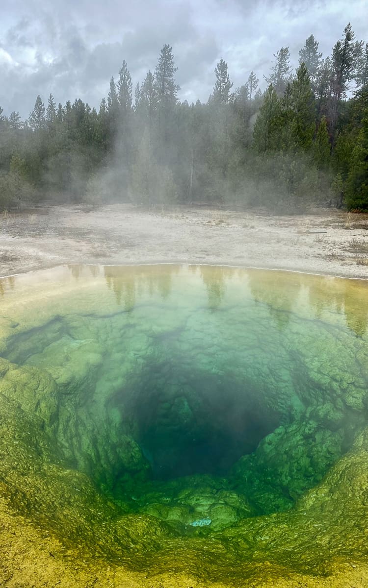 Moring Glory Yellowstone
