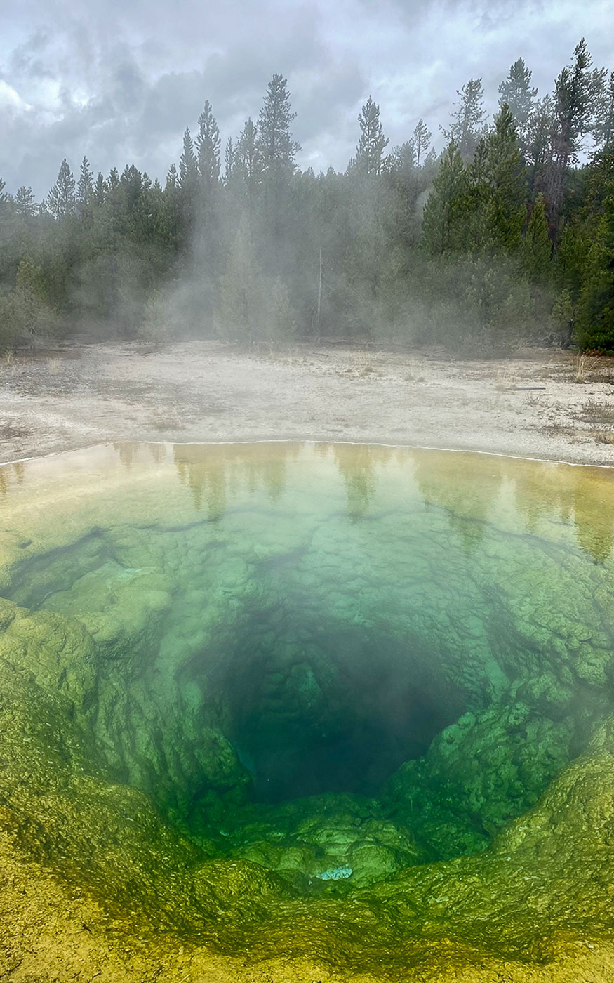 Moring Glory Yellowstone