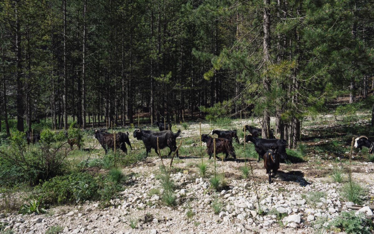Wanderung im Aladaglar Nationalpark Türkei - Tag 3