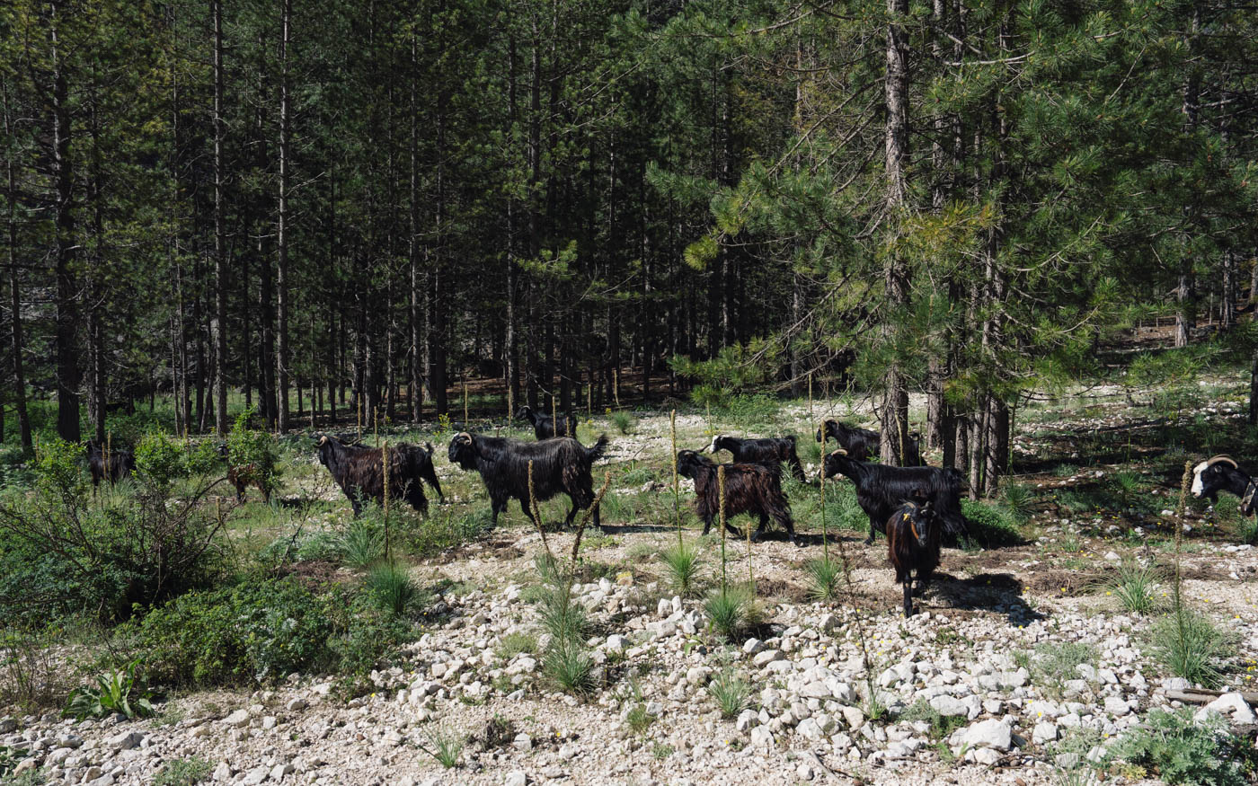 Wanderung im Aladaglar Nationalpark Türkei - Tag 3