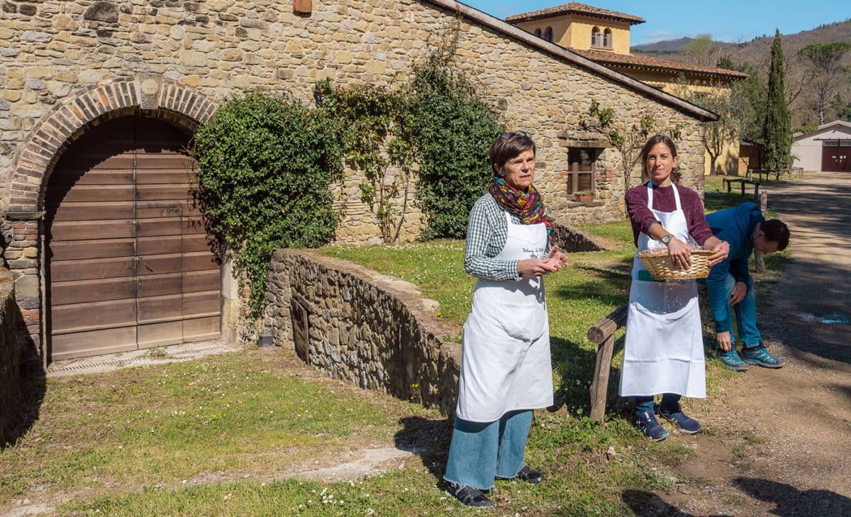 Kostenlose Führung an der Fattoria La Vialla