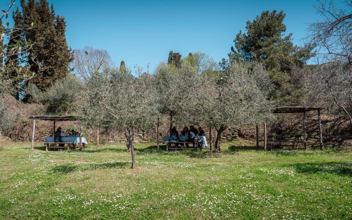 Im grünen Essen an der Fattoria La Vialla