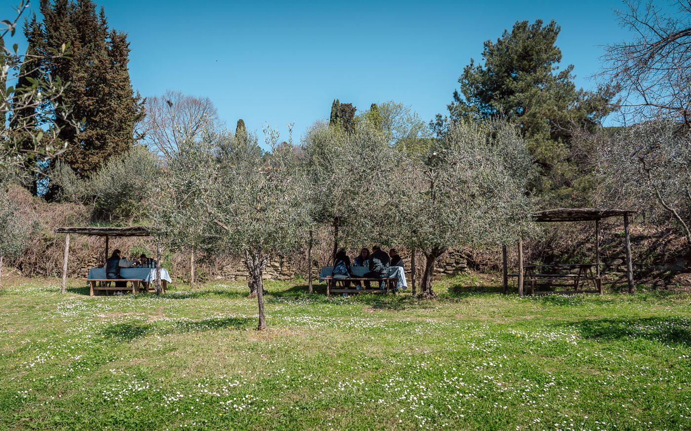 Im grünen Essen an der Fattoria La Vialla